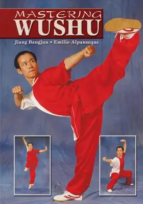 A wushu elsajátítása - Mastering Wushu