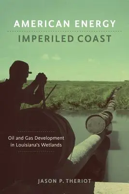 Amerikai energia, veszélyeztetett partvidék: Olaj- és gázfejlesztés Louisiana vizes élőhelyein - American Energy, Imperiled Coast: Oil and Gas Development in Louisiana's Wetlands