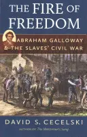 A szabadság tüze: Abraham Galloway és a rabszolgák polgárháborúja - The Fire of Freedom: Abraham Galloway and the Slaves' Civil War