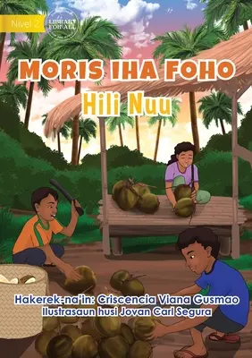 Élet a faluban - Kókuszdió szüret - Moris Iha Foho - Hili Nuu - Living in the Village - Harvesting Coconuts - Moris Iha Foho - Hili Nuu