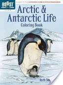 Arctic and Antarctic Coloring Book, 3-5. osztályok - Arctic and Antarctic Coloring Book, Grades 3-5