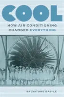 Cool: Hogyan változtatott meg mindent a légkondicionálás - Cool: How Air Conditioning Changed Everything