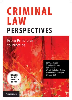 Büntetőjogi perspektívák: Az elvektől a gyakorlatig - Criminal Law Perspectives: From Principles to Practice