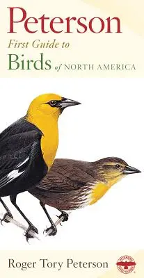 Észak-Amerika madarai - Birds of North America