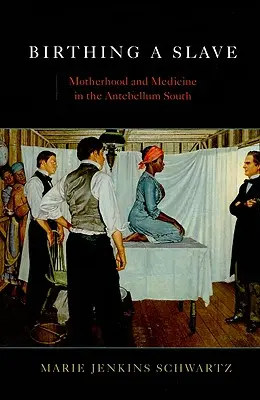 Egy rabszolga születése: Anyaság és orvostudomány a középkor előtti Délvidéken - Birthing a Slave: Motherhood and Medicine in the Antebellum South