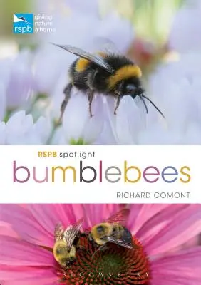 RSPB Spotlight dongók - RSPB Spotlight Bumblebees