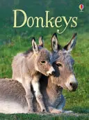 Szamarak - Donkeys