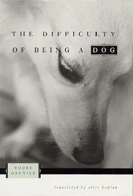 A kutyaság nehézségei - The Difficulty of Being a Dog