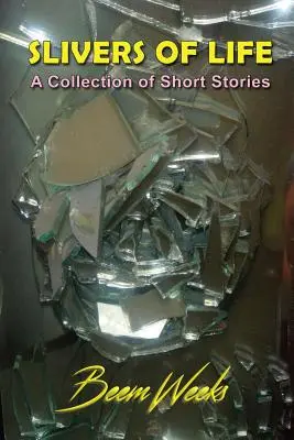 Az élet szilánkjai: A Collection of Short Stories - Slivers of Life: A Collection of Short Stories