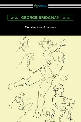 Konstruktív anatómia - Constructive Anatomy