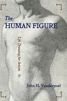 Az emberi alak - The Human Figure