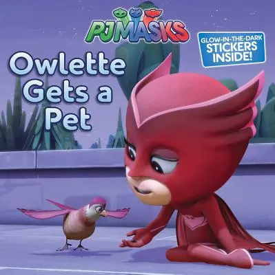 Owlette háziállatot kap - Owlette Gets a Pet