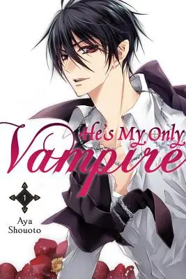 Ő az egyetlen vámpírom, 1. kötet - He's My Only Vampire, Volume 1