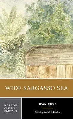 Wide Sargasso Sea: Háttér, kritika - Wide Sargasso Sea: Backgrounds, Criticism