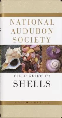 National Audubon Society Field Guide to North American Seashells (Nemzeti Audubon Társaság terepi útmutatója az észak-amerikai kagylókhoz) - National Audubon Society Field Guide to North American Seashells