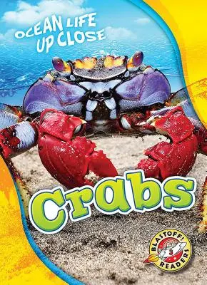 Rákok - Crabs