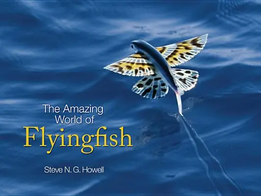 A repülőhalak csodálatos világa - The Amazing World of Flyingfish