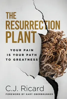 A Feltámadás Növénye: A fájdalom a te utad a nagysághoz - The Resurrection Plant: Your Pain Is Your Path To Greatness