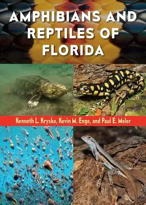 Florida kétéltűi és hüllői - Amphibians and Reptiles of Florida