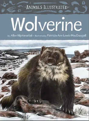 Állatok illusztrálva: Wolverine - Animals Illustrated: Wolverine