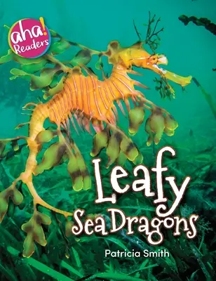 Lombos tengeri sárkányok - Leafy Sea Dragons