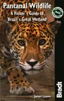 Bradt Pantanal Wildlife: A Visitor's Guide to Brazil's Great Wetland: A Visitor's Guide to Brazil's Great Wetland - Bradt Pantanal Wildlife: A Visitor's Guide to Brazil's Great Wetland