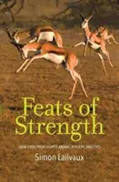 Az erő hőstettei: Hogyan alakítja az evolúció az állatok atlétikai képességeit? - Feats of Strength: How Evolution Shapes Animal Athletic Abilities