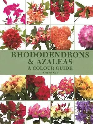 Rhododendronok és azáleák: Színes útmutató - Rhododendrons & Azaleas: A Colour Guide