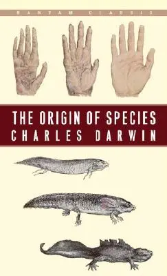 A fajok eredete: A természetes kiválasztás, avagy a kivételezett fajok megőrzése az életért folytatott küzdelemben. - The Origin of Species: By Means of Natural Selection or the Preservation of Favoured Races in the Struggle for Life