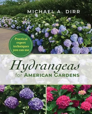 Hortenziák amerikai kertekbe - Hydrangeas for American Gardens