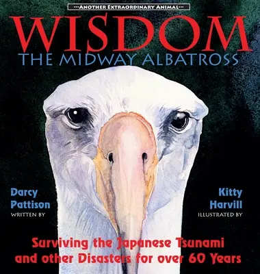 Bölcsesség, a midwayi albatrosz: A japán cunami és más katasztrófák túlélése több mint 60 éven át - Wisdom, the Midway Albatross: Surviving the Japanese Tsunami and Other Disasters for Over 60 Years