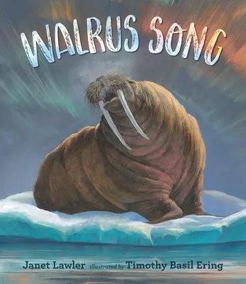 Walrus dal - Walrus Song