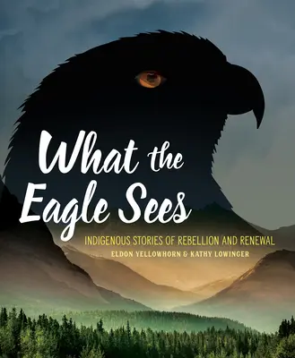 Amit a sas lát: Indián történetek a lázadásról és megújulásról - What the Eagle Sees: Indigenous Stories of Rebellion and Renewal