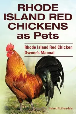 Rhode Island Red Chickens as Pets. Rhode Island Red Chicken Tulajdonosi kézikönyv - Rhode Island Red Chickens as Pets. Rhode Island Red Chicken Owner's Manual