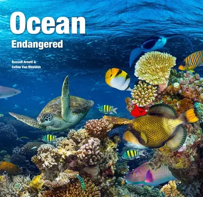 Ocean: Veszélyeztetett - Ocean: Endangered