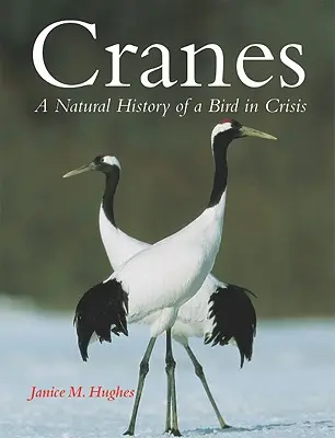 Daruk: Egy válságban lévő madár természetrajza - Cranes: A Natural History of a Bird in Crisis