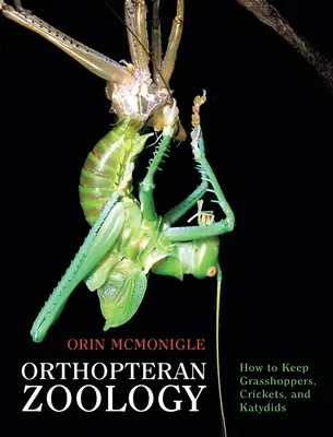 Orthoptera zoológia: Hogyan tartsunk szöcskéket, tücsköket és katicákat? - Orthopteran Zoology: How to Keep Grasshoppers, Crickets, and Katydids