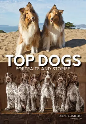 Top Dogs: Portrék és történetek - Top Dogs: Portraits and Stories