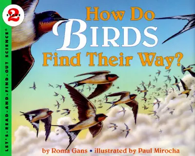 Hogyan találják meg az utat a madarak? - How Do Birds Find Their Way?