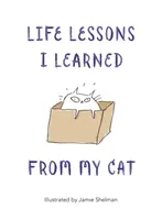 Életleckék, amiket a macskámtól tanultam - Life Lessons I Learned from my Cat