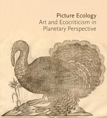 Képi ökológia: Művészet és ökokritika bolygószemléletben - Picture Ecology: Art and Ecocriticism in Planetary Perspective