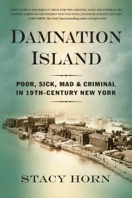 A kárhozat szigete: Szegények, betegek, őrültek és bűnözők a 19. századi New Yorkban - Damnation Island: Poor, Sick, Mad, and Criminal in 19th-Century New York