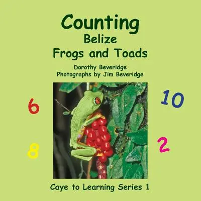 Belizei békák és varangyok számlálása - Counting Belize Frogs and Toads