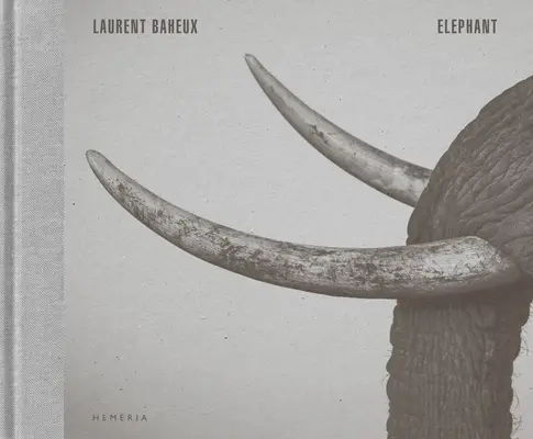 Elefánt - Elephant