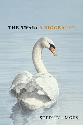 A hattyú - The Swan