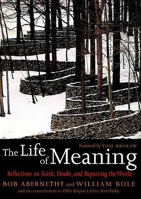 Az élet értelme: Elmélkedések a hitről, a kételyről és a világ megjavításáról - The Life of Meaning: Reflections on Faith, Doubt, and Repairing the World