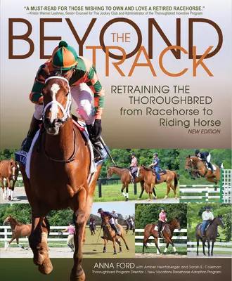 A pályán túl: A telivér átképzése versenylóból lovas lóvá - Beyond the Track: Retraining the Thoroughbred from Racehorse to Riding Horse