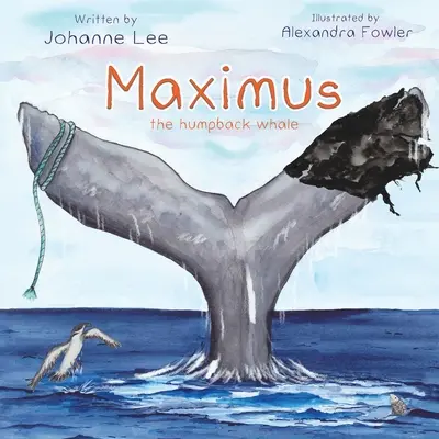 Maximus, a púpos bálna - Maximus the Humpback Whale