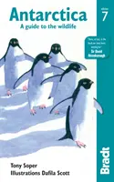 Antarktisz: Útikalauz a vadvilághoz - Antarctica: A Guide to the Wildlife