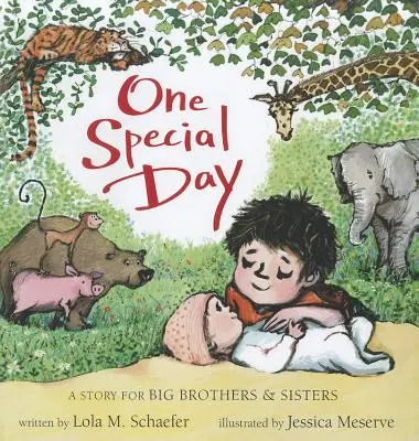 Egy különleges nap: A Big Brothers and Sisters története - One Special Day: A Story for Big Brothers and Sisters